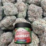 Watermelon Sherbert - Hybrid – OUNCE SPECIAL