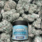White Gusherz - Sativa – OUNCE SPECIAL