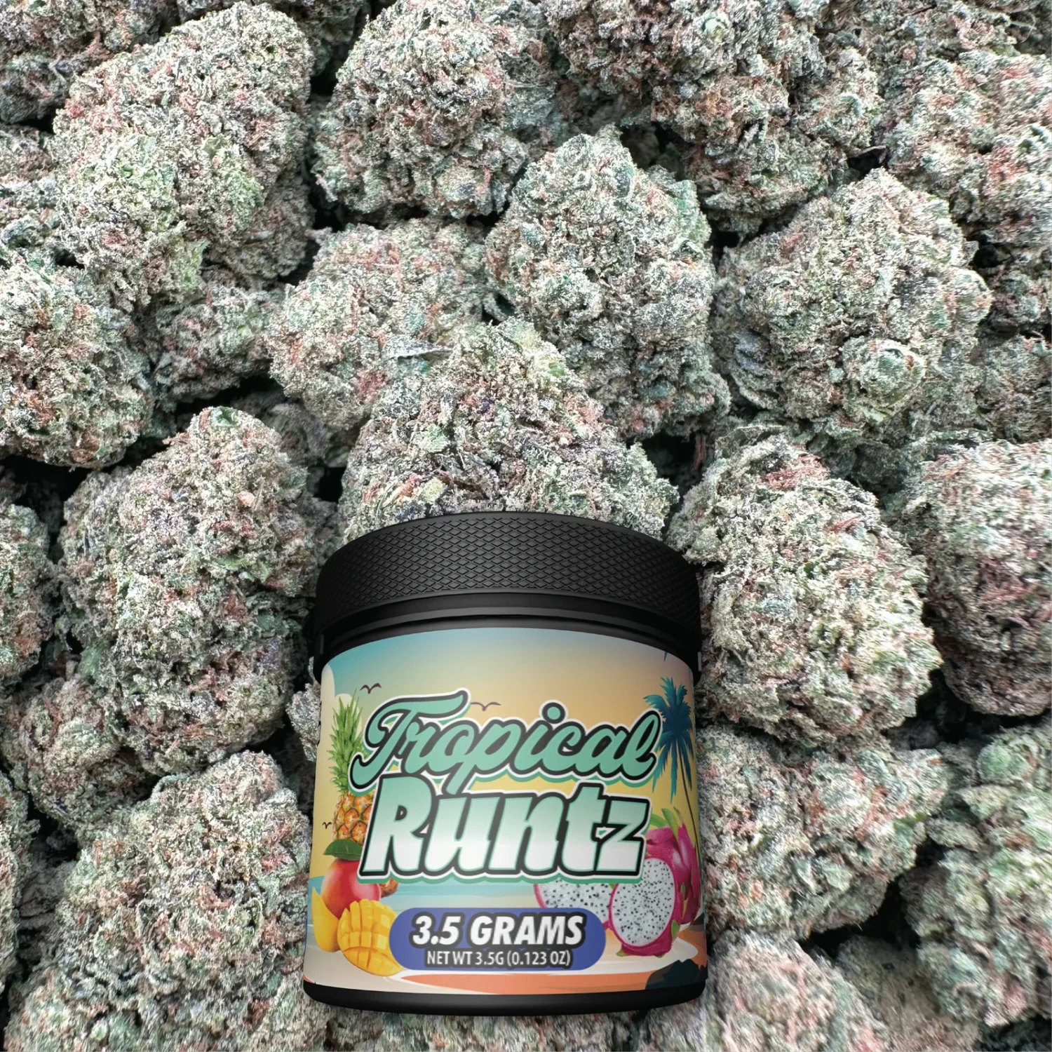 Tropical Runtz - Hybrid – OUNCE SPECIAL